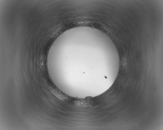 X0000078840567200612041842