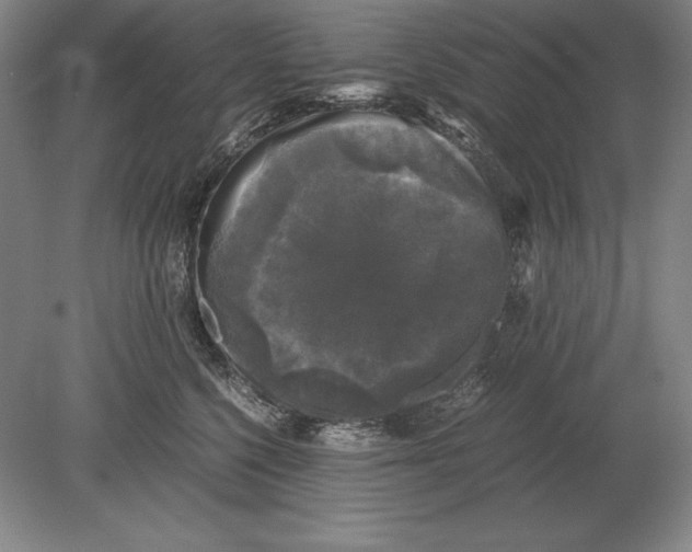 X0000078840568200612041842