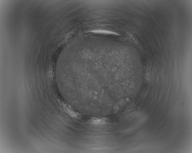 X0000078840569200612041842