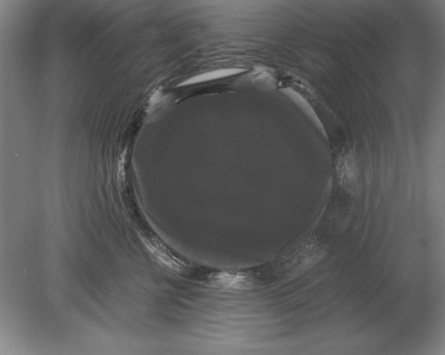 X0000078840570200612041842