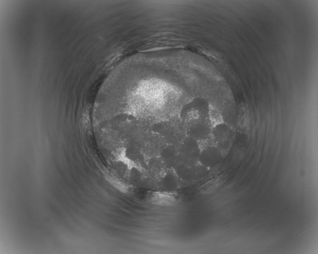 X0000078840573200612041842