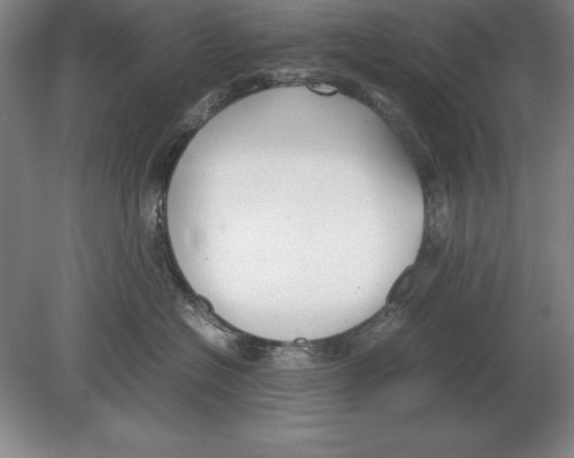 X0000078840574200612041842