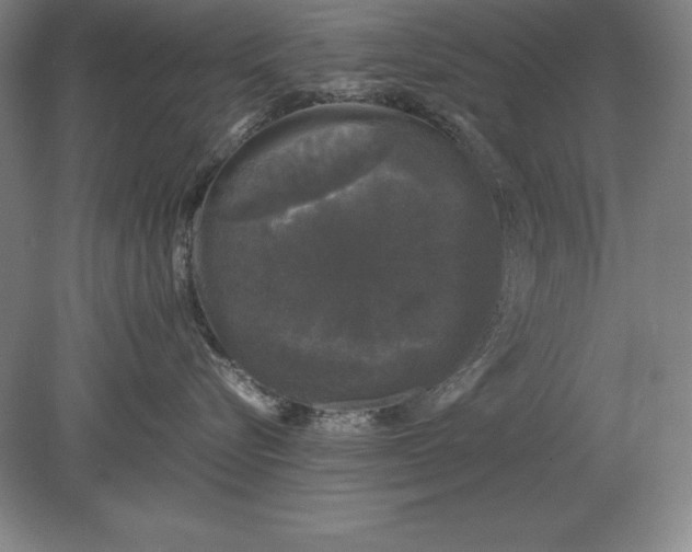 X0000078840576200612041842