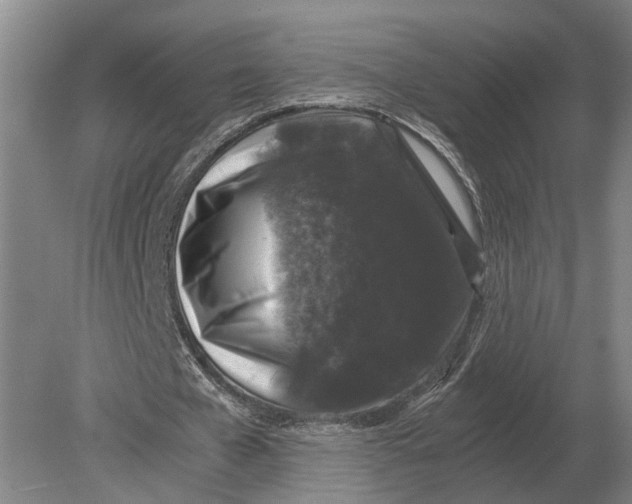 X0000078840577200612041842