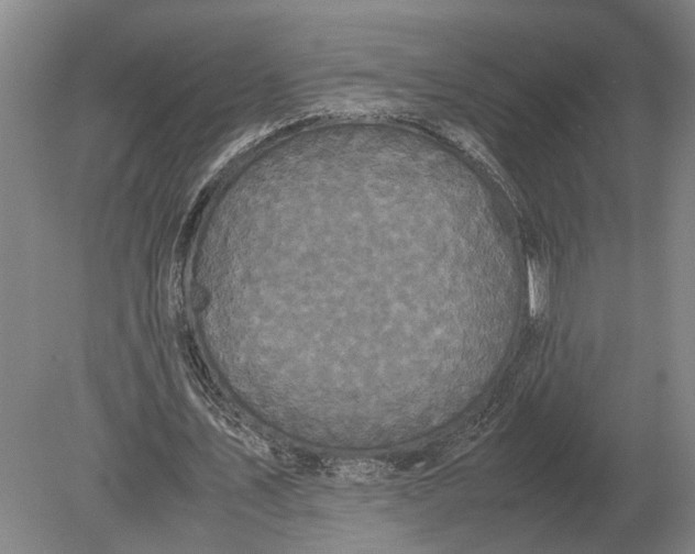 X0000078840579200612041842