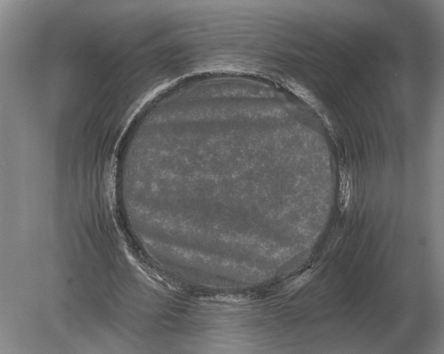 X0000078840580200612041842