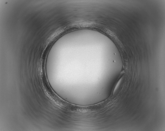 X0000078840582200612041842