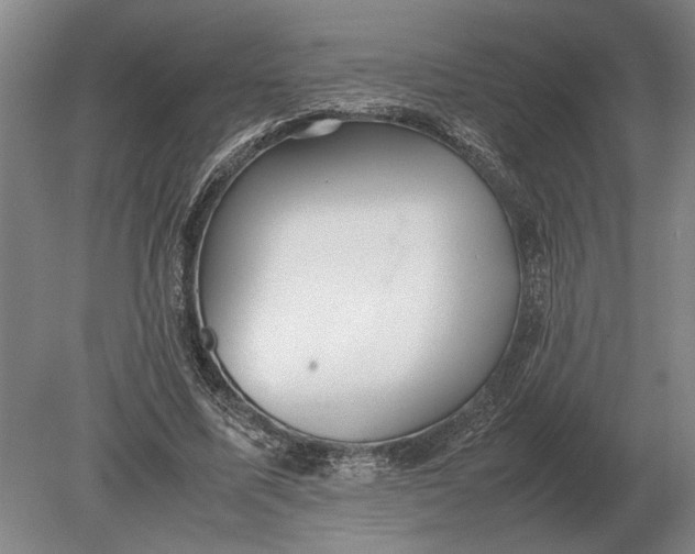 X0000078840587200612041841