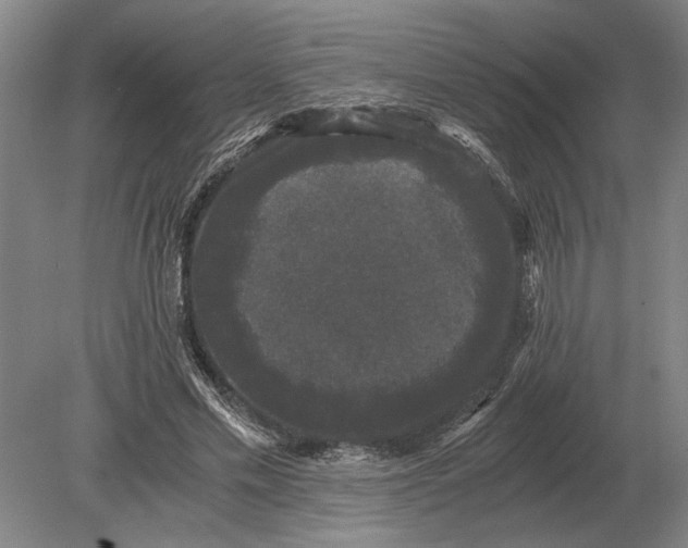 X0000078840589200612041841