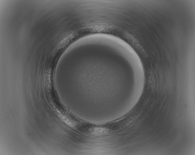 X0000078840590200612041841