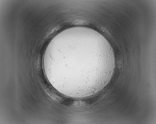 X0000078840591200612041841