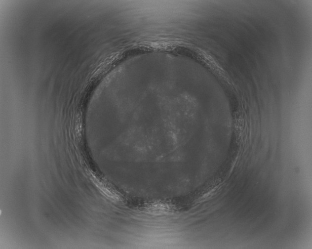 X0000078840593200612041841