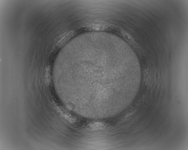 X0000078840594200612041841