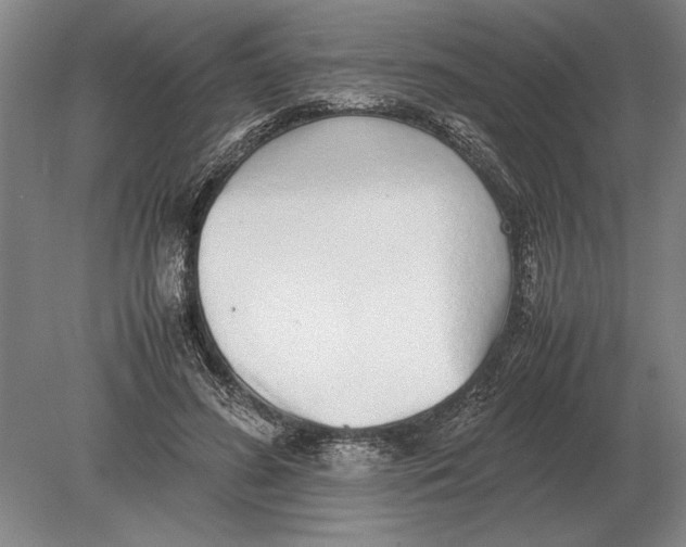 X0000078840596200612041841