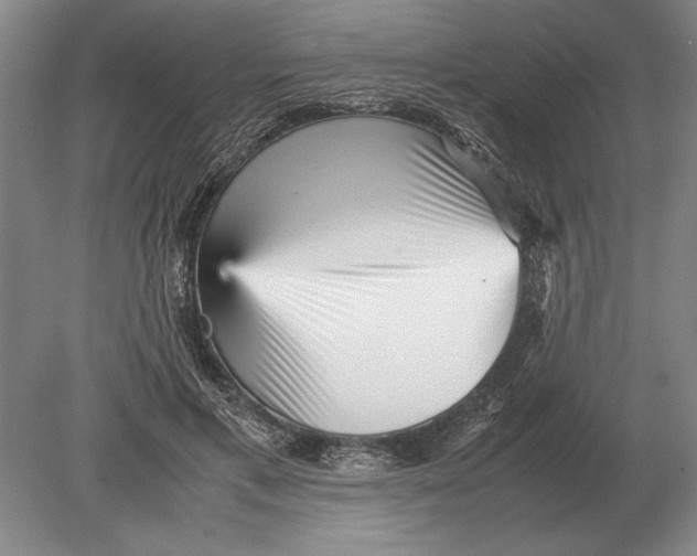 X0000078840597200612041841