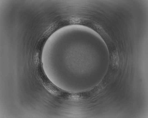 X0000078840598200612041841