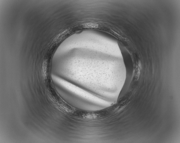 X0000078840600200612041841