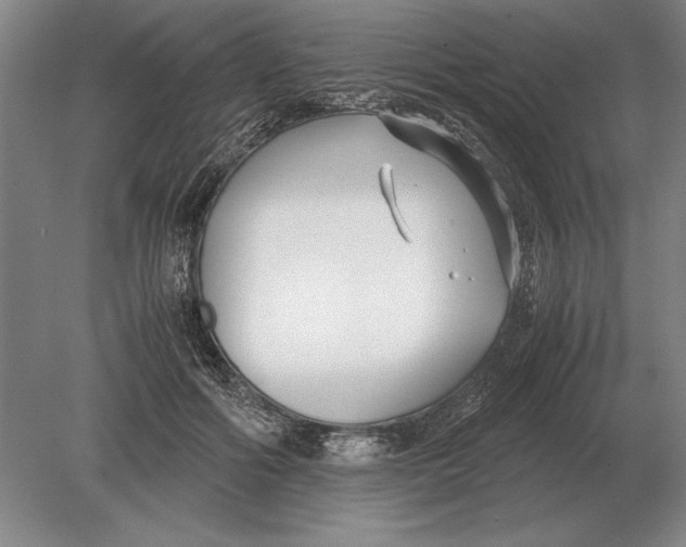 X0000078840602200612041841