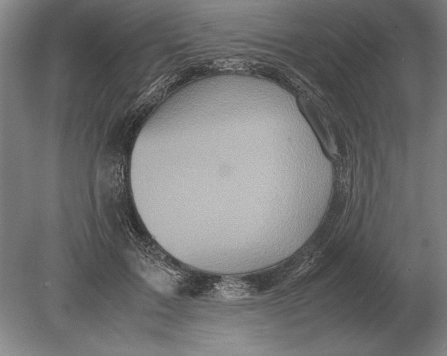 X0000078840603200612041841