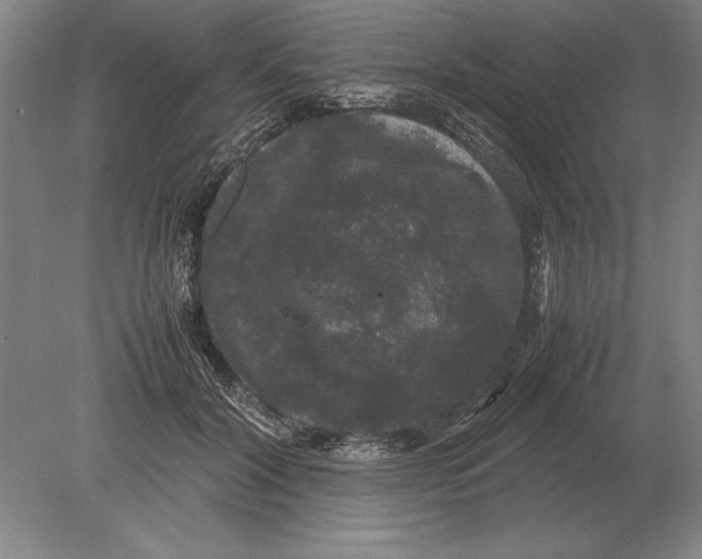 X0000078840604200612041841