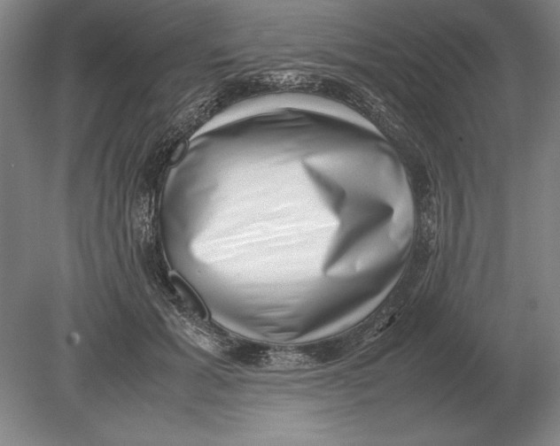 X0000078840605200612041841