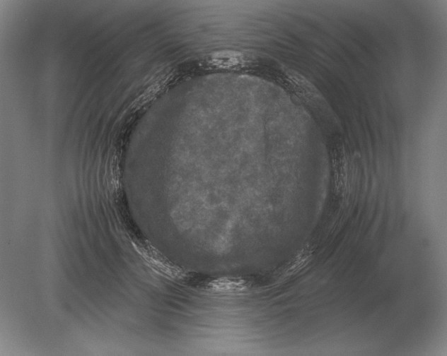 X0000078840606200612041841