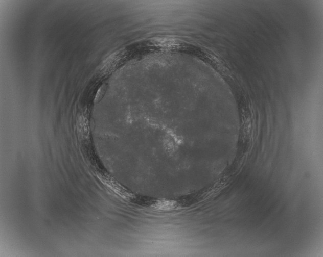 X0000078840609200612041841