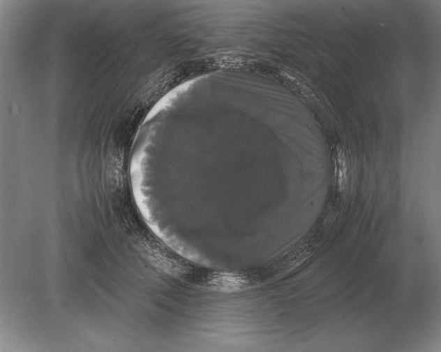 X0000078840610200612041841