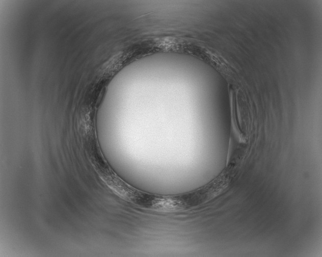 X0000078840611200612041841