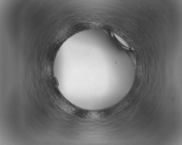 X0000078840613200612041841