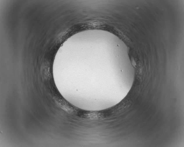 X0000078840615200612041841