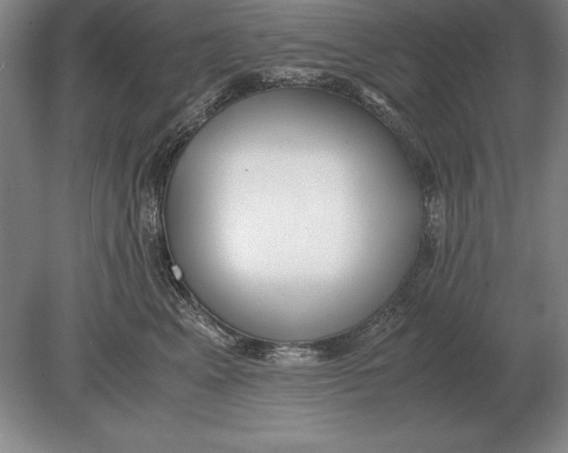 X0000078840617200612041841