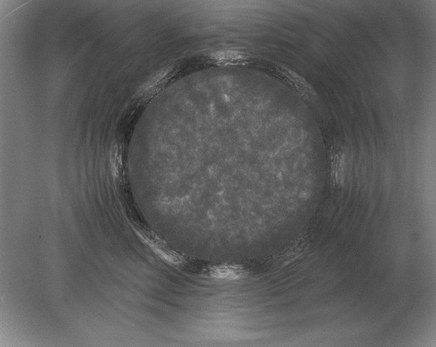 X0000078840618200612041841