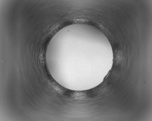 X0000078840619200612041841