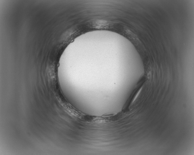 X0000078840620200612041841