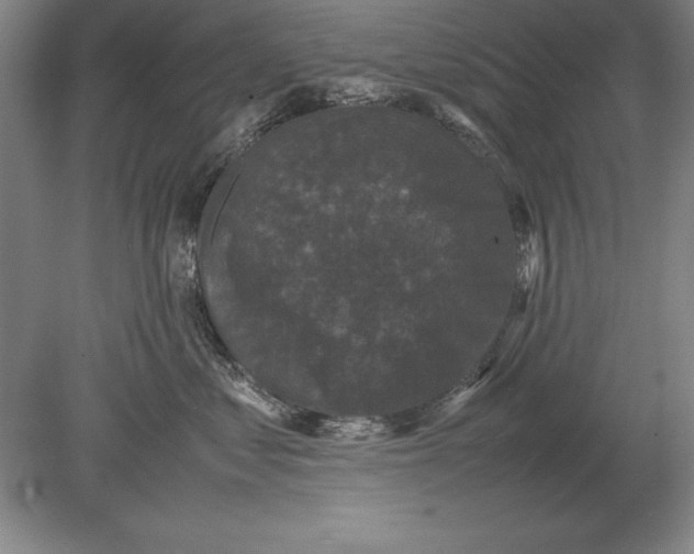 X0000078840621200612041841