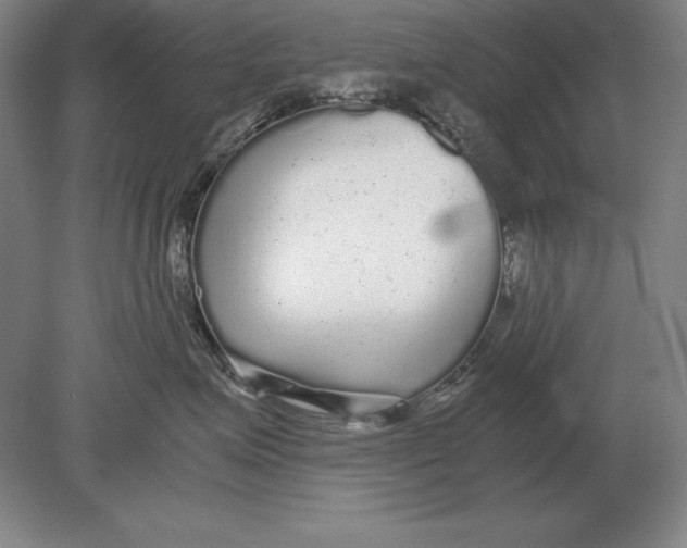 X0000078840623200612041841