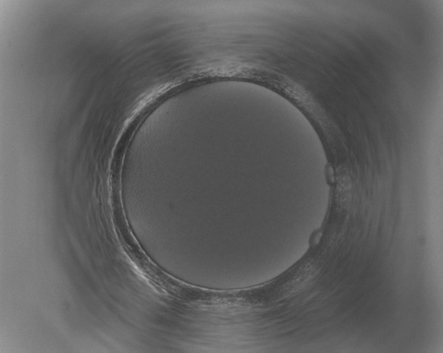 X0000078840626200612041840