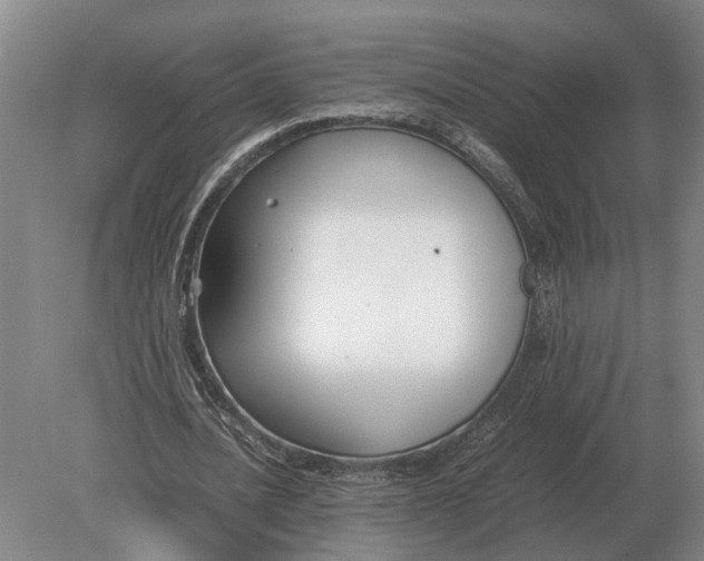 X0000078840628200612041840