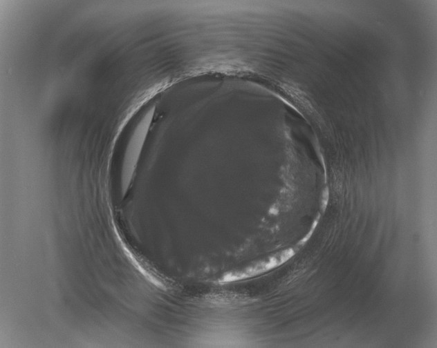 X0000078840630200612041840