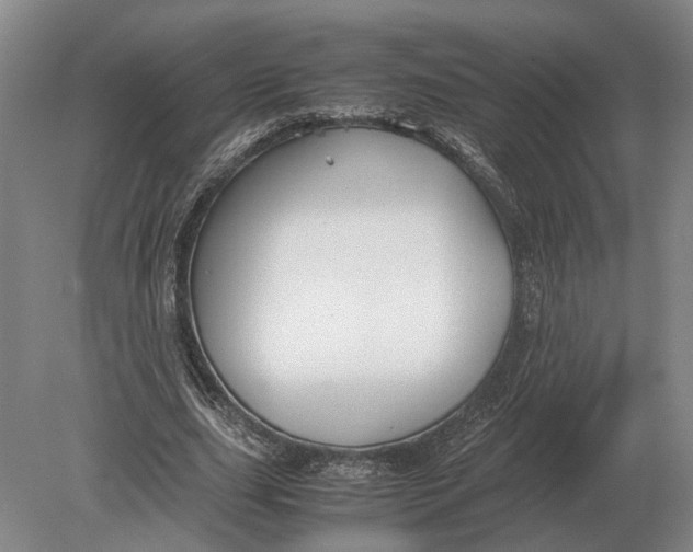 X0000078840631200612041840