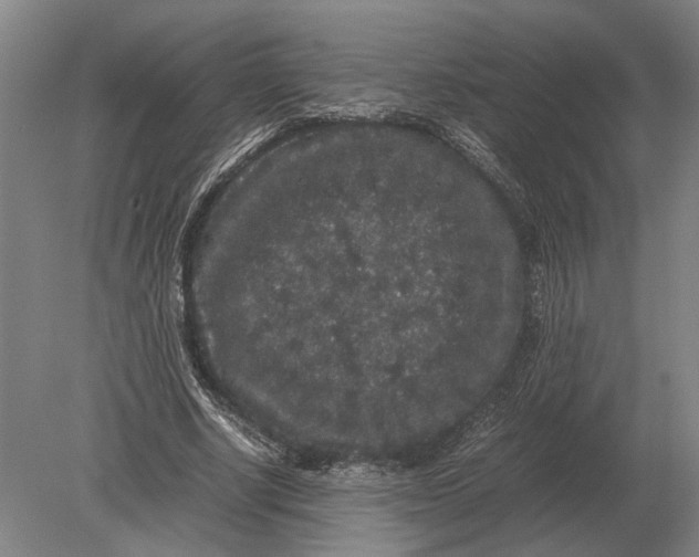 X0000078840634200612041840