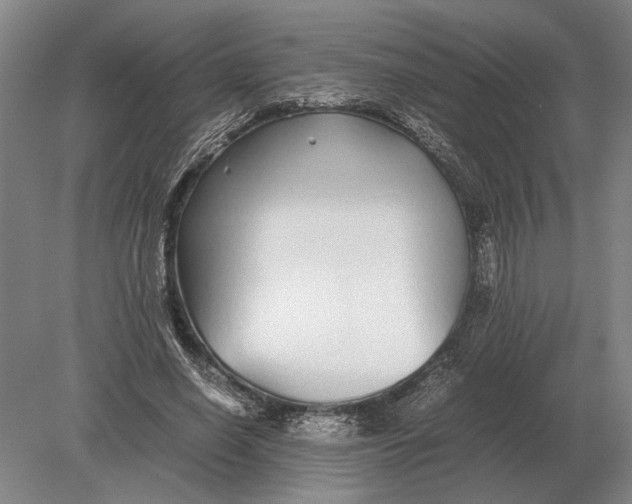 X0000078840638200612041840