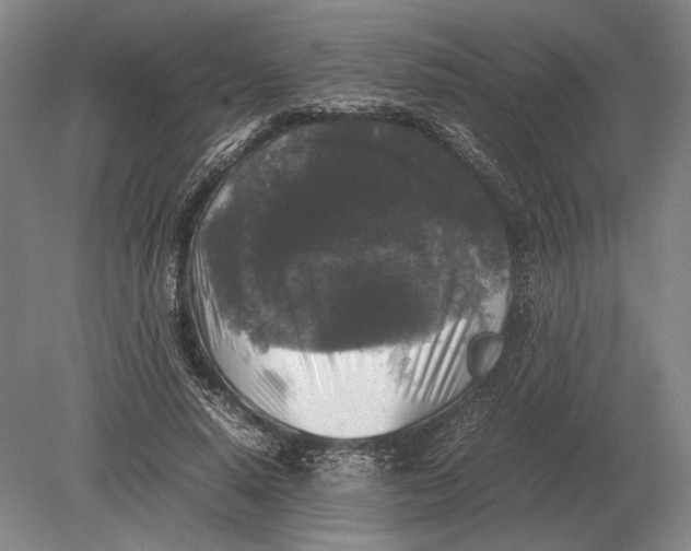 X0000078840640200612041840