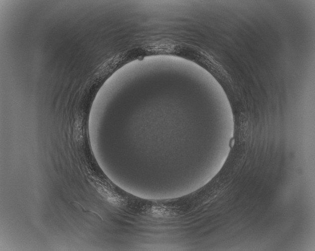 X0000078840641200612041840