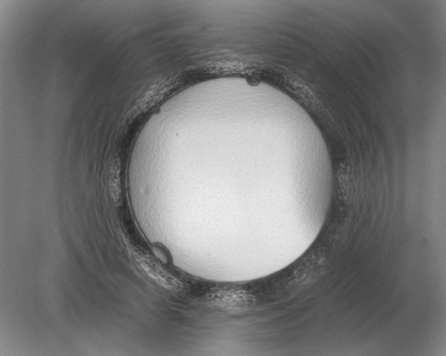 X0000078840642200612041840