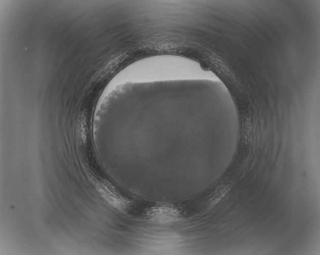 X0000078840644200612041840