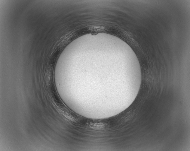 X0000078840645200612041840