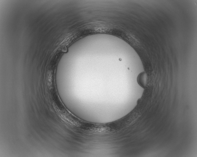 X0000078840646200612041840