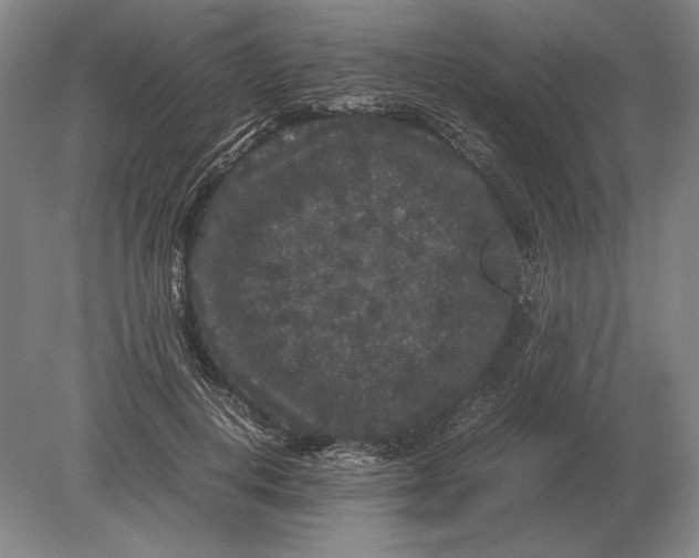 X0000078840648200612041840